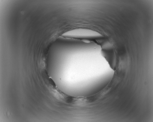 X0000082200621200701270120