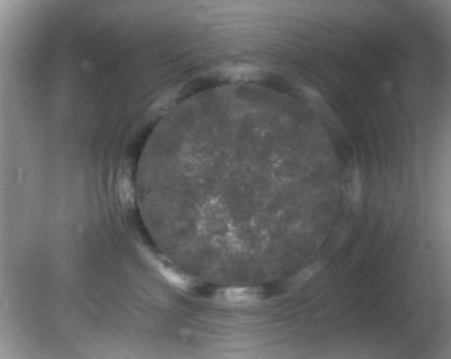 X0000082200622200701270120