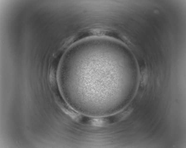 X0000082200623200701270120