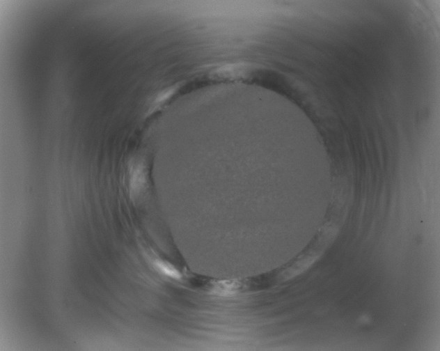 X0000082200624200701270120