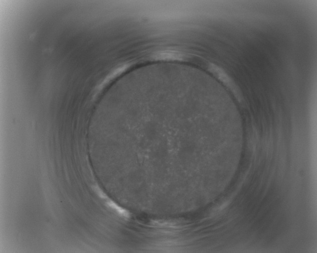 X0000082200625200701270119