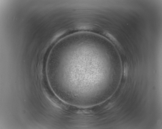 X0000082200627200701270119