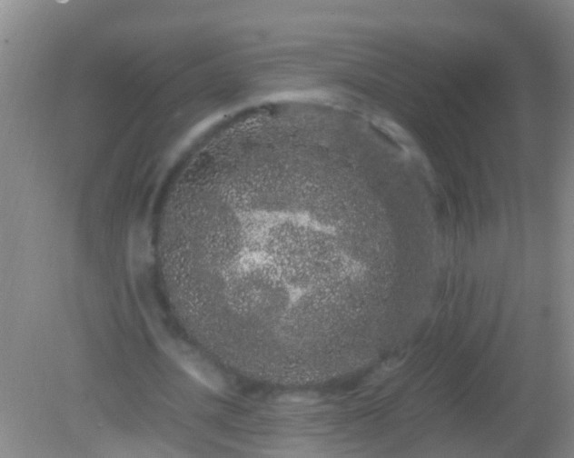 X0000082200628200701270119