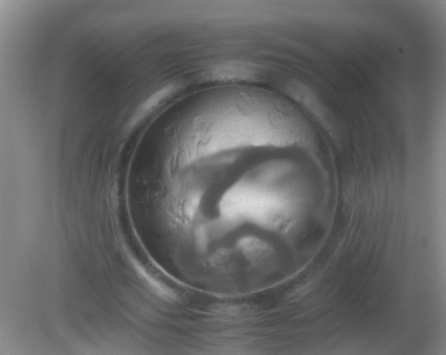 X0000082200629200701270119