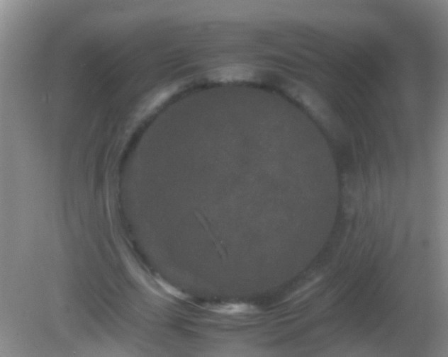 X0000082200631200701270119