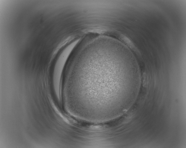 X0000082200634200701270119