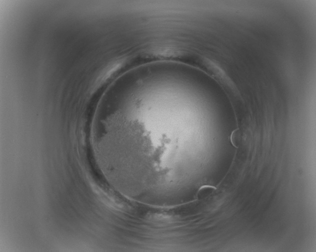 X0000082200635200701270119