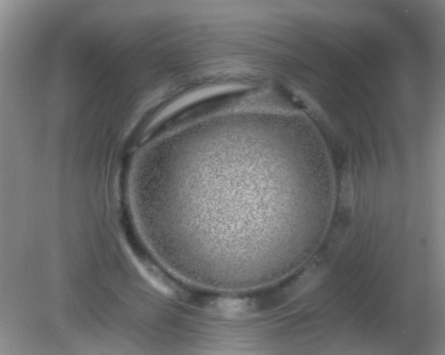 X0000082200638200701270119