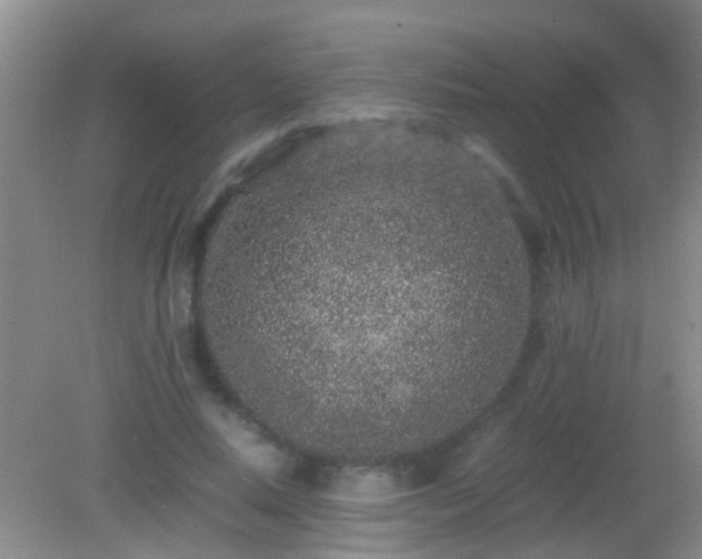 X0000082200640200701270119