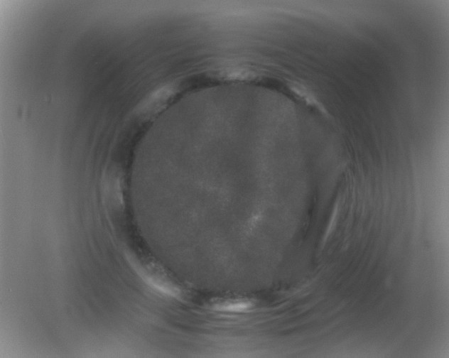 X0000082200643200701270119