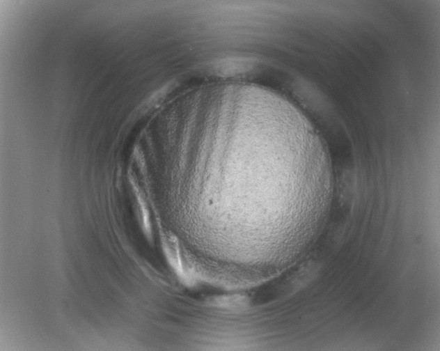 X0000082200644200701270119