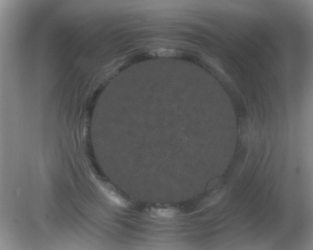 X0000082200645200701270119