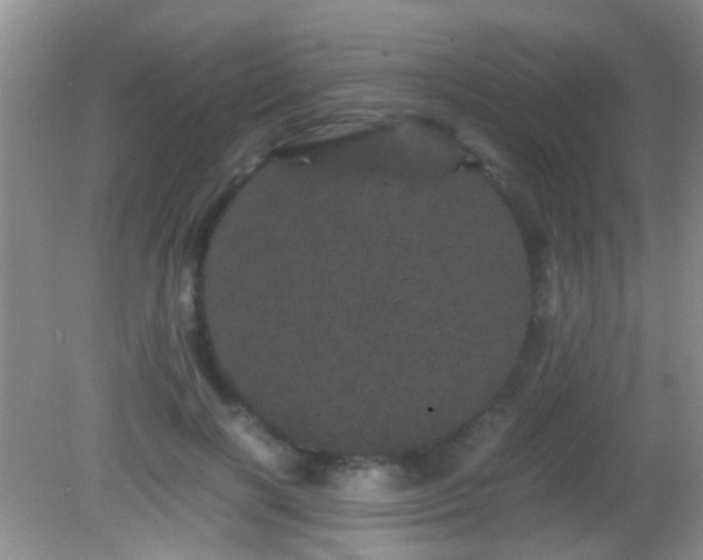 X0000082200646200701270119