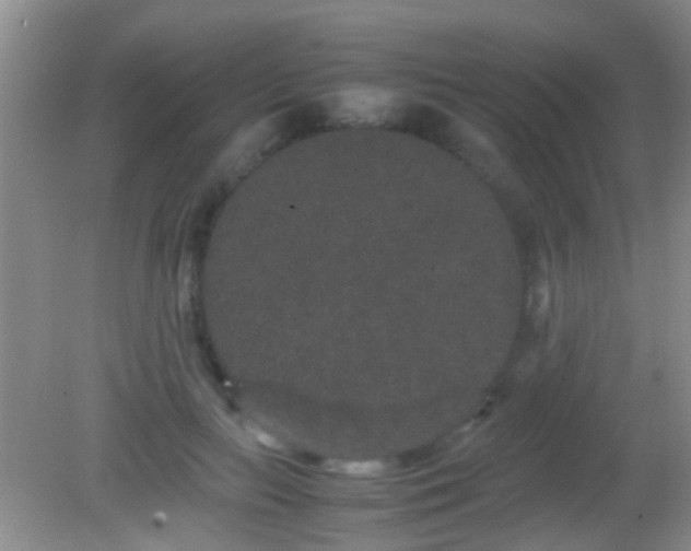 X0000082200647200701270119