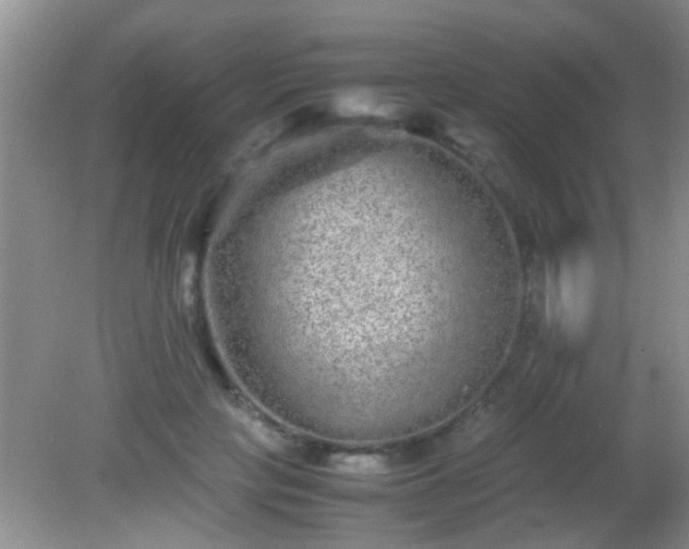 X0000082200649200701270119