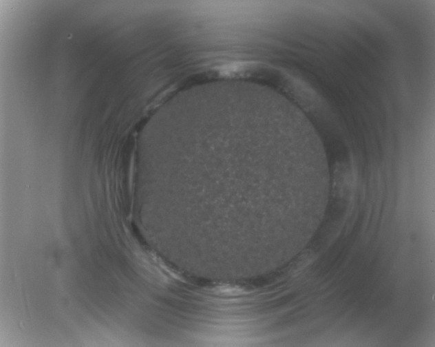 X0000082200650200701270119