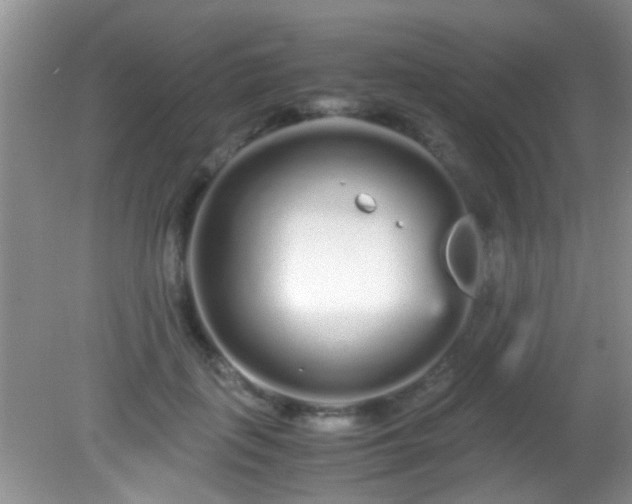 X0000082200651200701270119