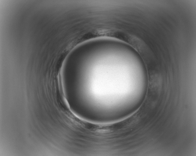 X0000082200653200701270119