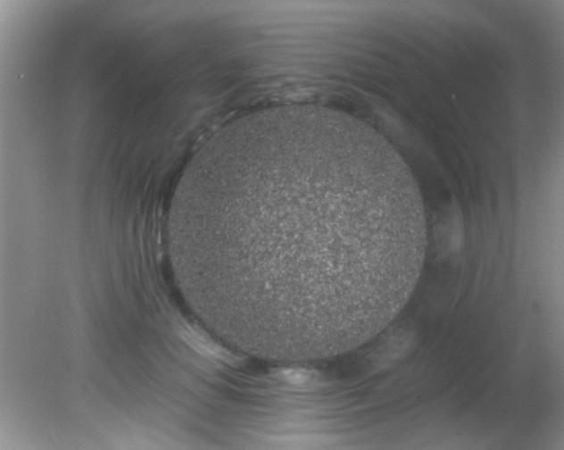 X0000082200654200701270119