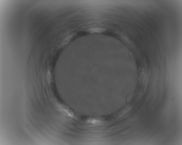 X0000082200655200701270119