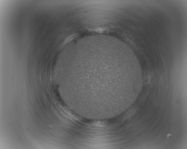 X0000082200656200701270119