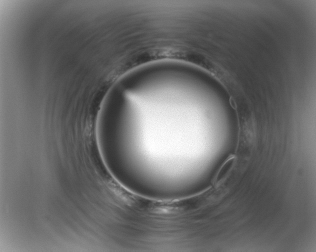 X0000082200657200701270119