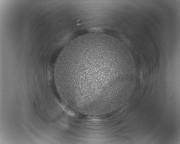 X0000082200658200701270119