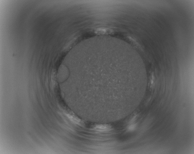 X0000082200659200701270119