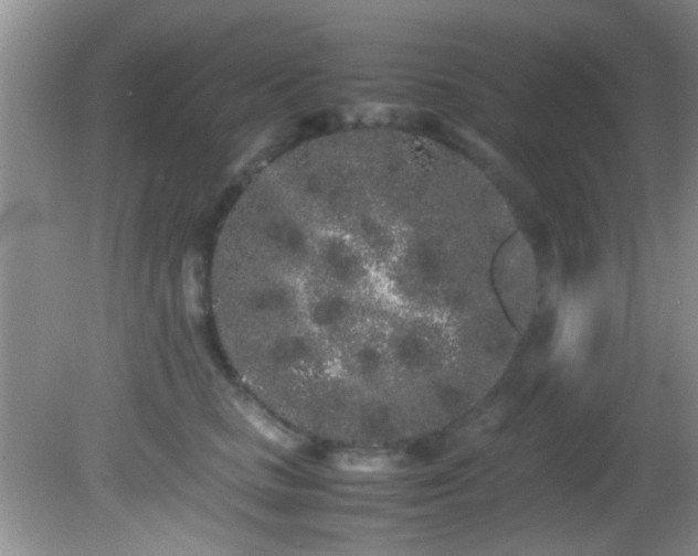 X0000082200661200701270119