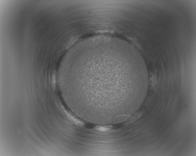 X0000082200662200701270119