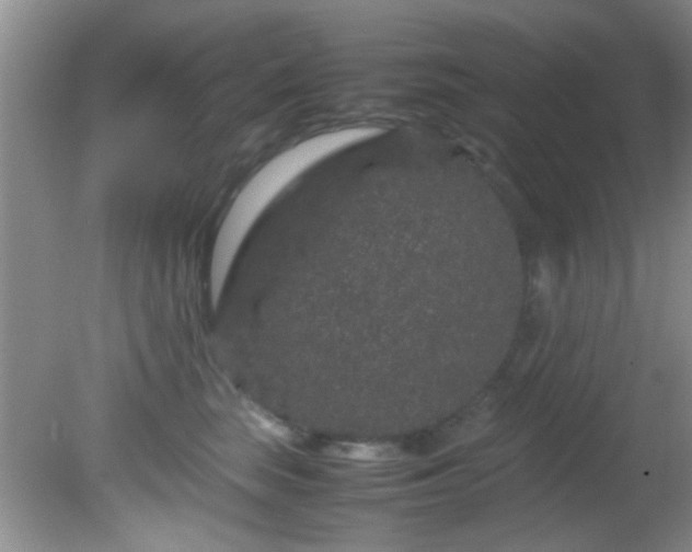 X0000082200663200701270119