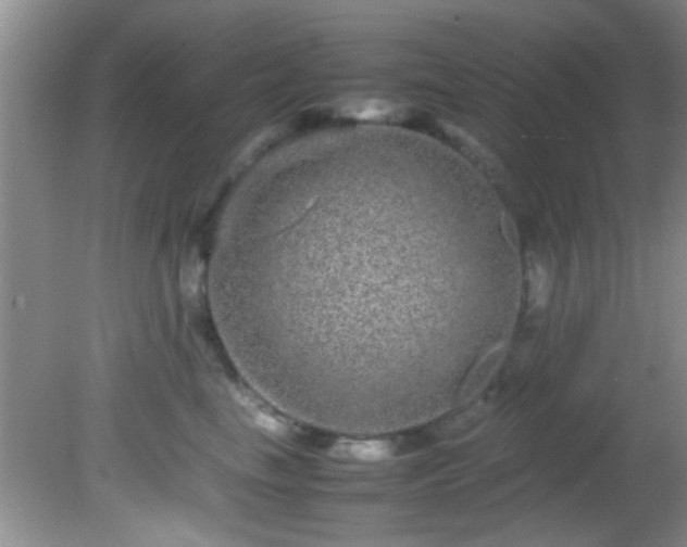 X0000082200665200701270119