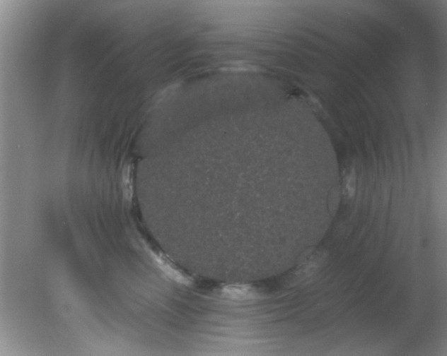 X0000082200666200701270119