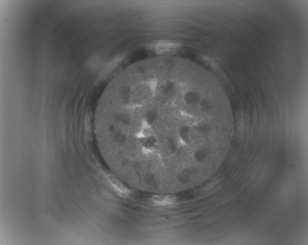 X0000082200667200701270119