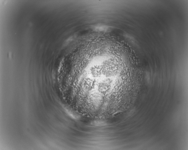 X0000082200668200701270119