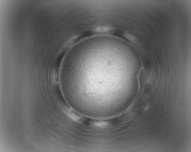 X0000082200669200701270120