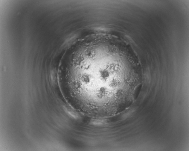 X0000082200671200701270120