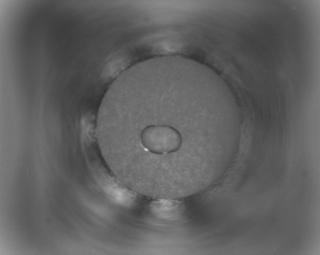 X0000082200672200701270120