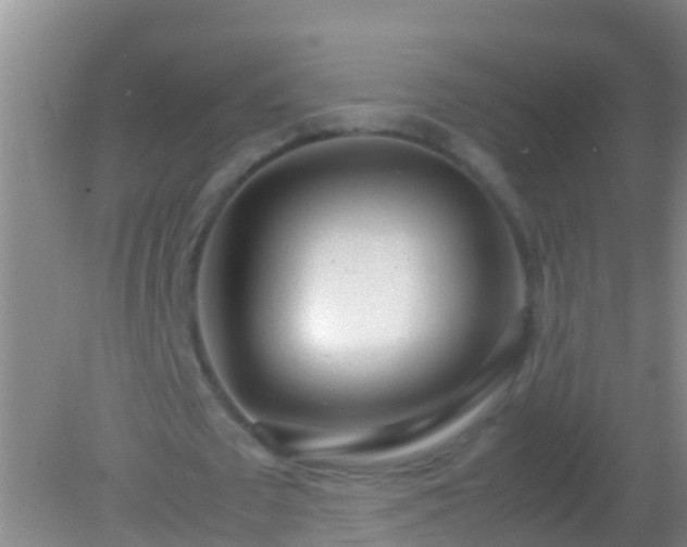 X0000082200673200701270119