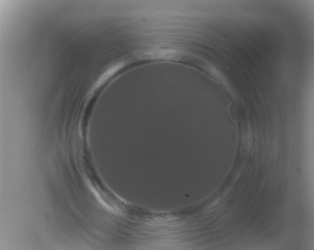 X0000082200674200701270119