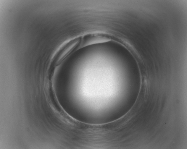 X0000082200676200701270119