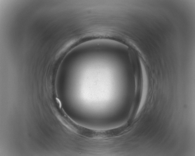 X0000082200677200701270119