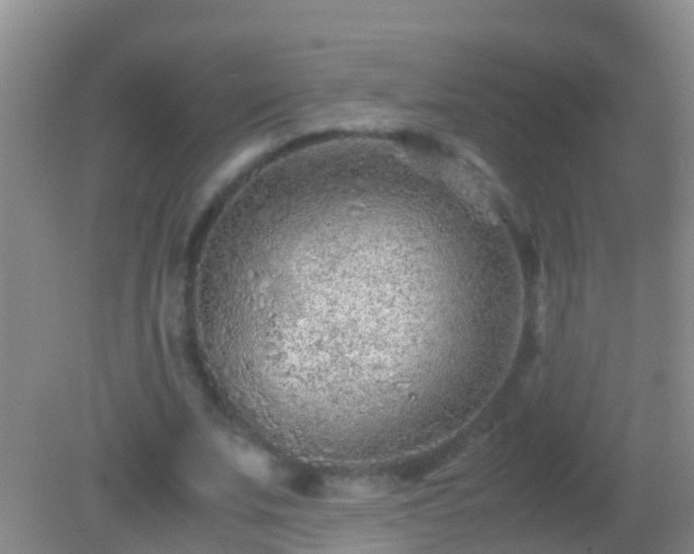 X0000082200679200701270119