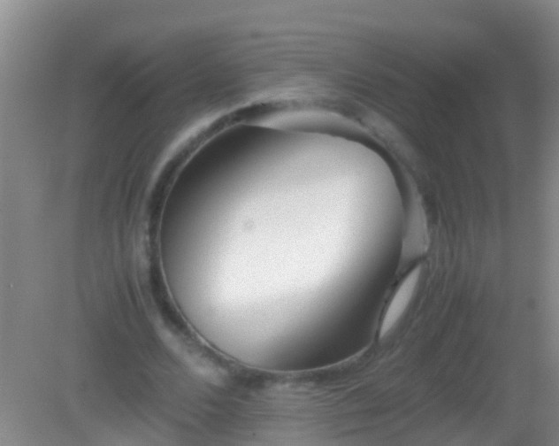 X0000082200680200701270119