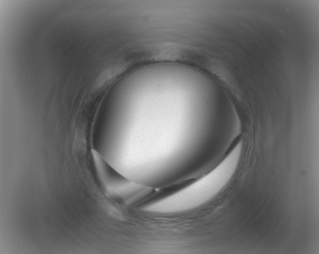 X0000082200681200701270119