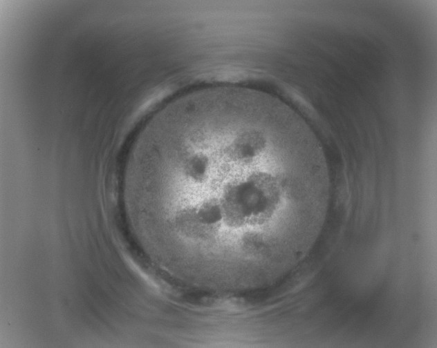 X0000082200683200701270119