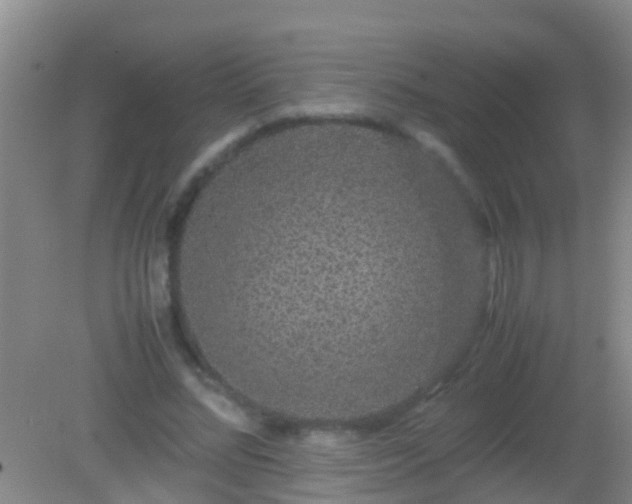 X0000082200684200701270119