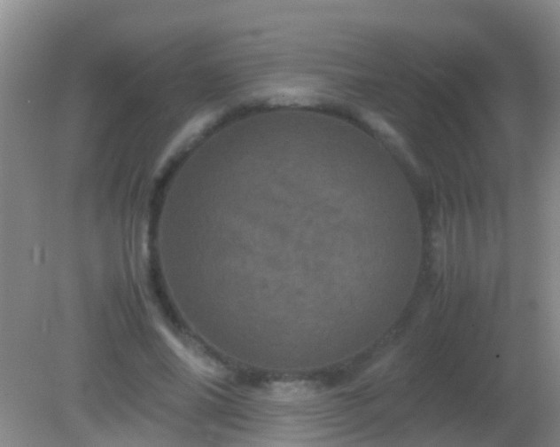 X0000082200686200701270119