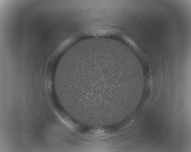 X0000082200687200701270119