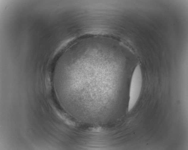 X0000082200688200701270119